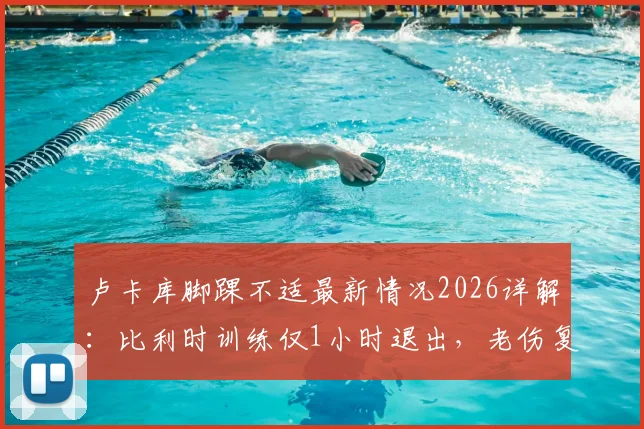 卢卡库脚踝不适最新情况2026详解：比利时训练仅1小时退出，老伤复发恐影响欧洲杯前景