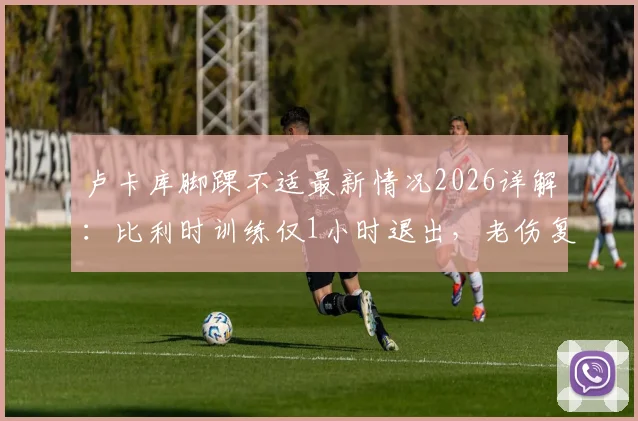 卢卡库脚踝不适最新情况2026详解:比利时训练仅1小时退出,老伤复发恐影响欧洲杯前景